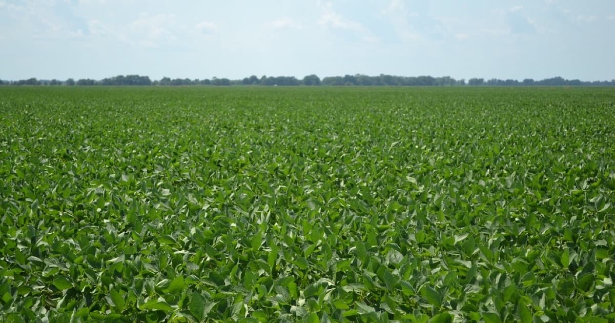 Featured image for Content operations for agro, food, and export teams using AI carefully