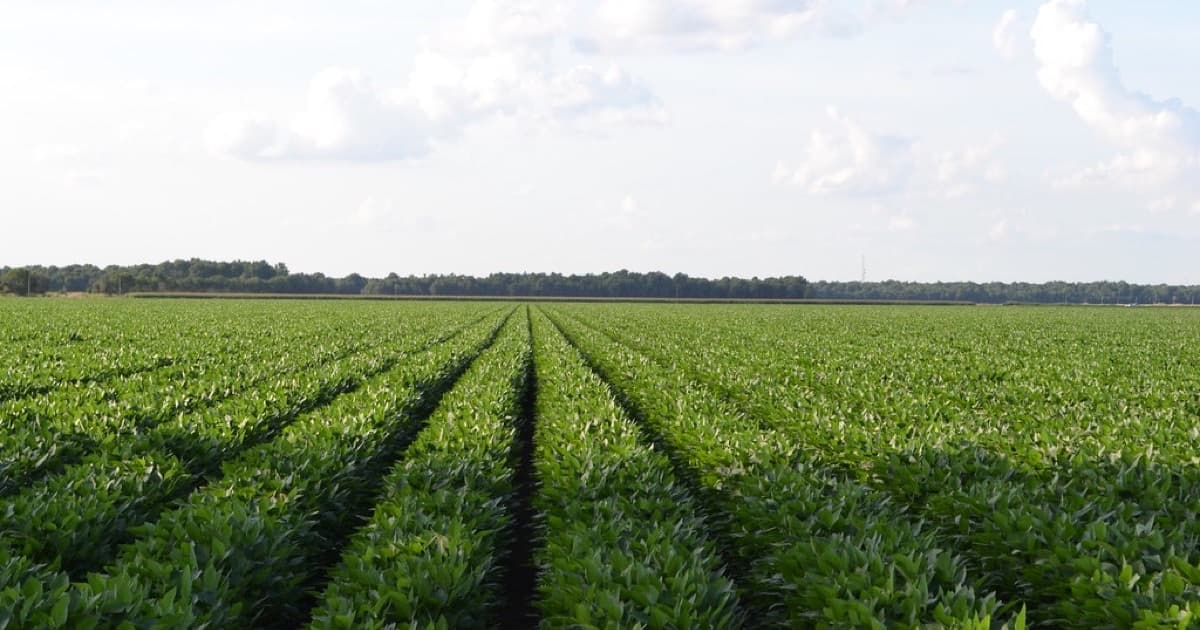 Featured image for GEO basics for agro, food, and export in Paraguay