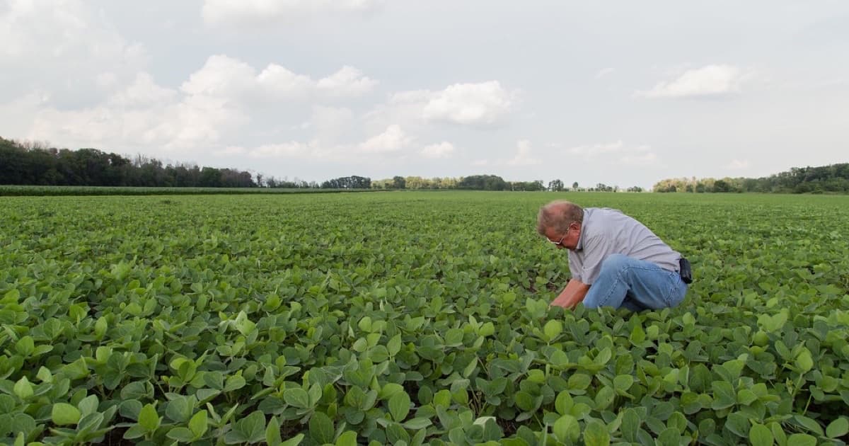 Featured image for How to write citeable passages for agro, food, and export