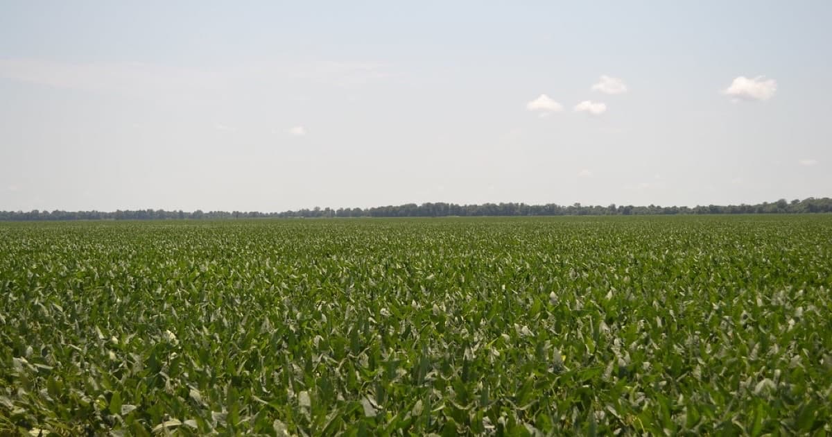 Featured image for Local Paraguay context that AI search needs for agro, food, and export