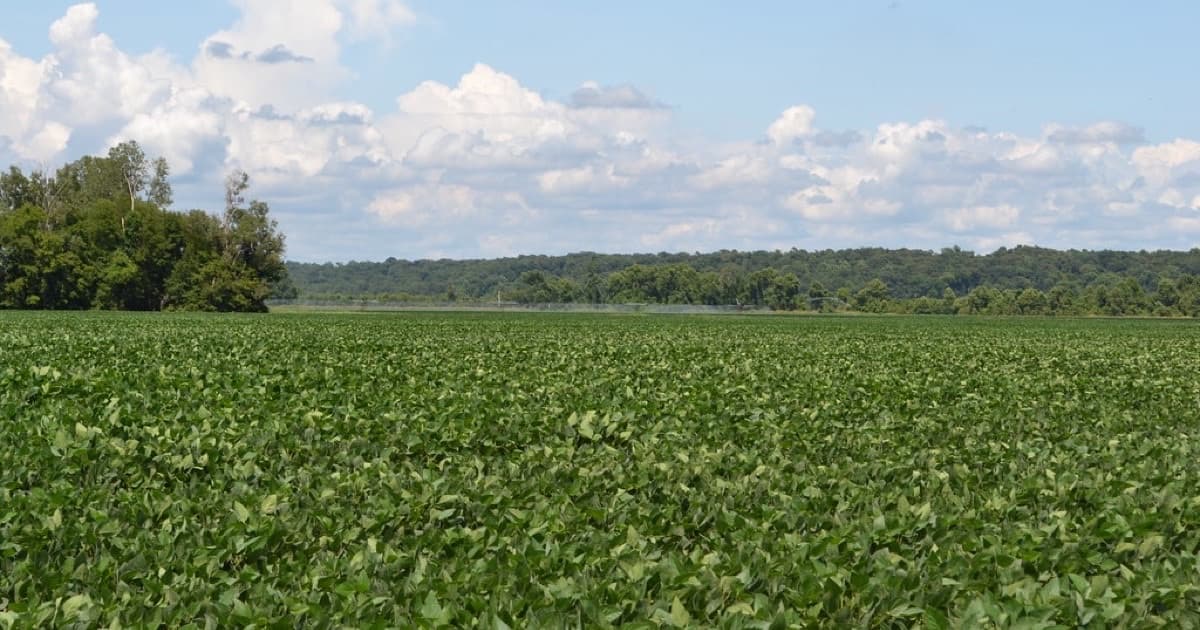 Featured image for Proposal-ready GEO packages for agro, food, and export