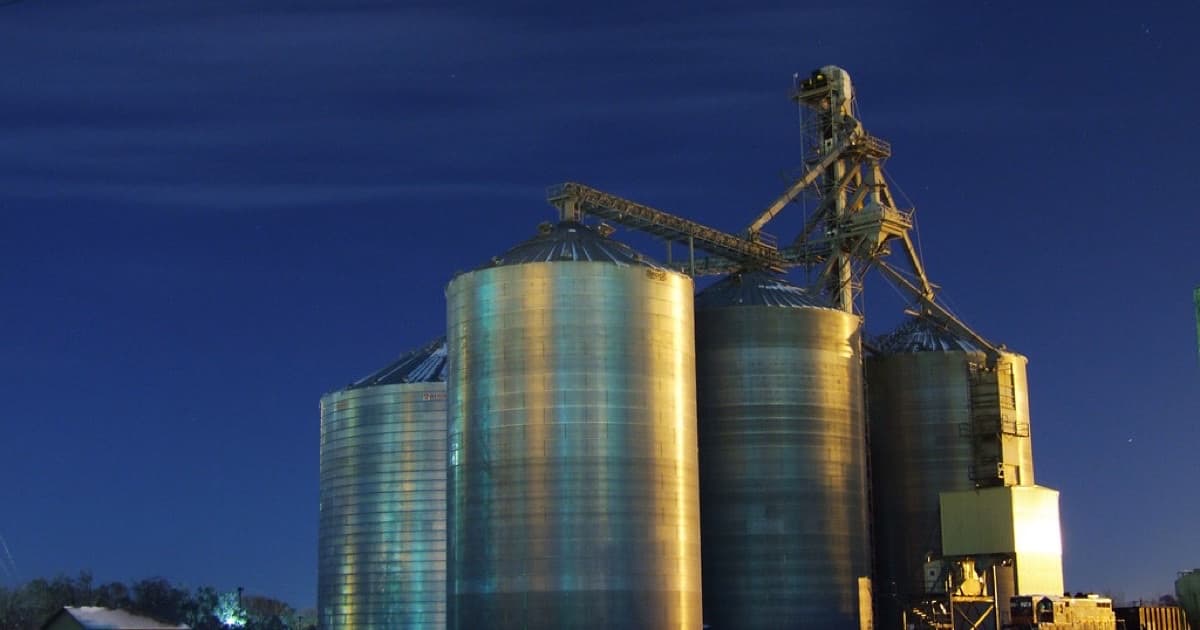 Featured image for Turning AI visibility into leads for agro, food, and export