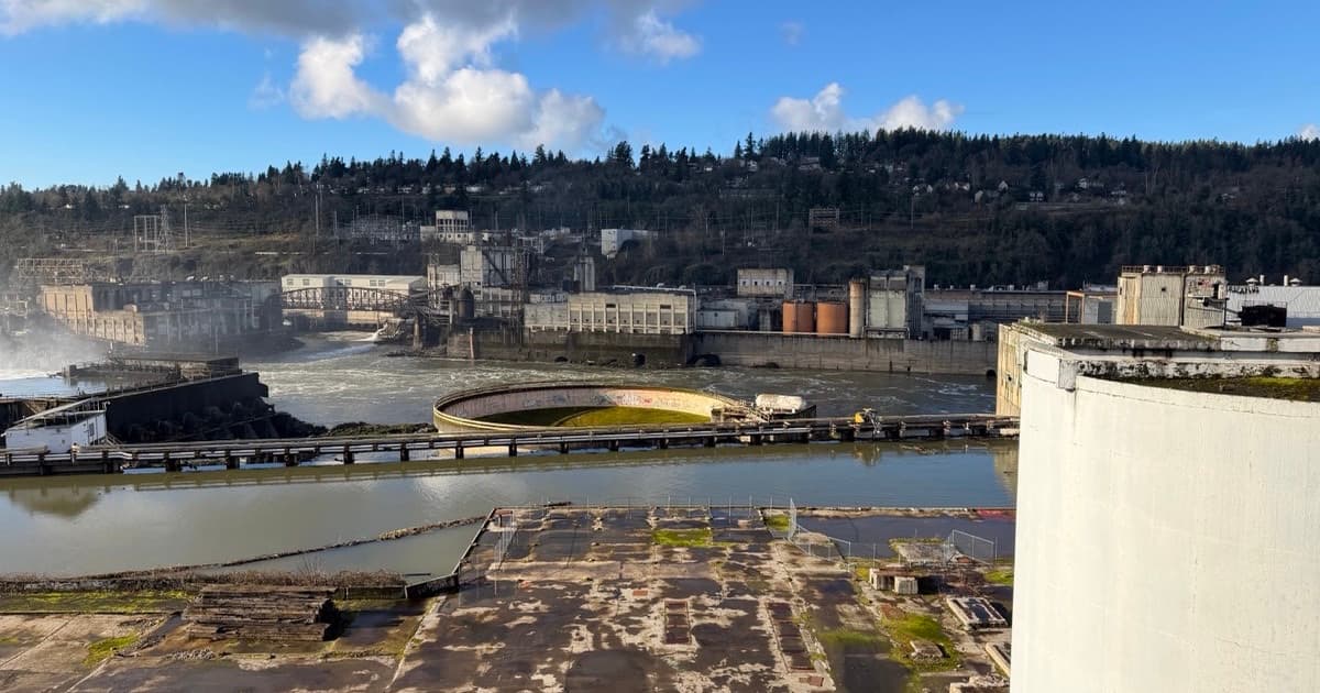 Featured image for Turning AI visibility into leads for industrial investment and green production